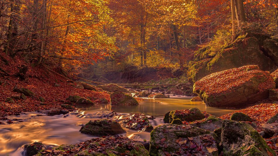 Raabklamm_Herbst_Oststeiermark_Natur_Erwin Brix | © Tourismusverband Oststeiermark
