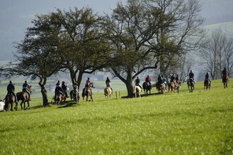 Horse farm Stockner_Horse ride_Eastern Styria | © Anton Stockner