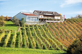 wine experience Martin Wippel Riegersburg  | © Weinerlebnis Wippel